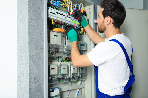 Best Generator Installation Services  in Chelsea, MI