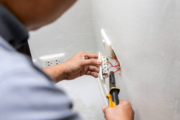 Best Electrician for Home Renovation  in Chelsea, MI