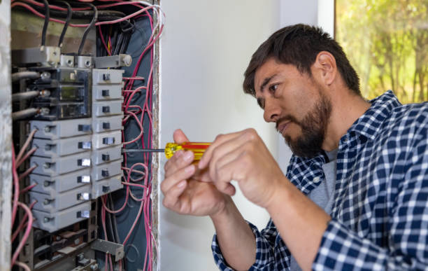 Best Electrical Repair Services  in Chelsea, MI